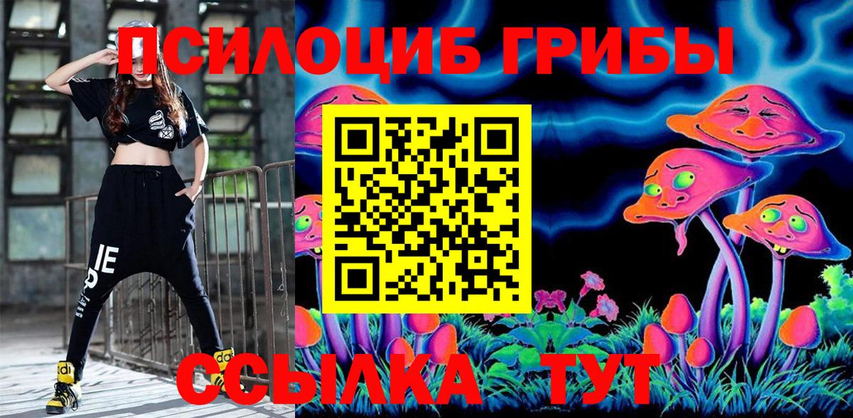 Галлюциногенные грибы Cubensis Шахты