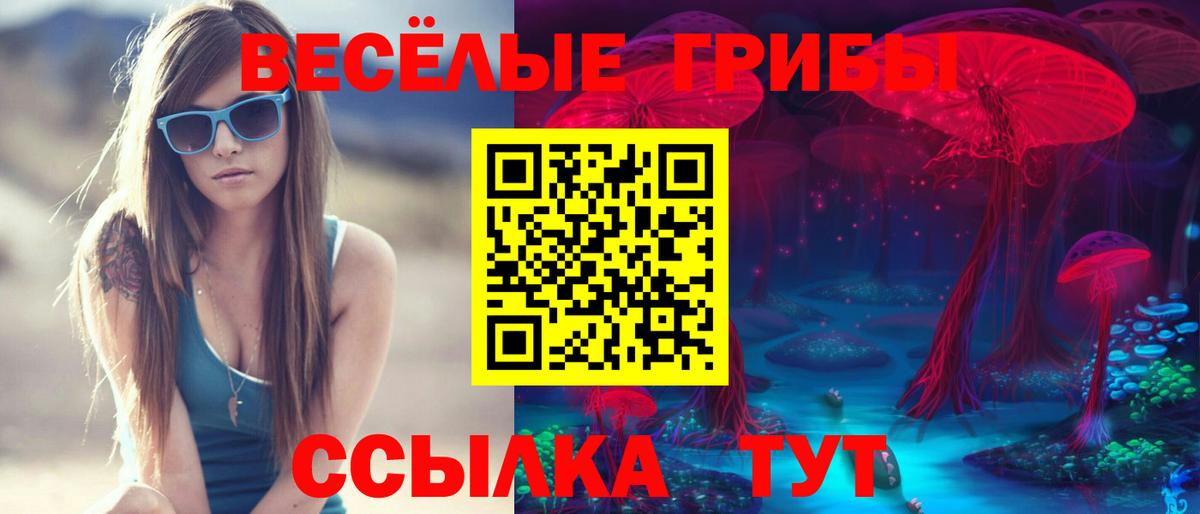 где можно купить наркотик  Вход с VPN  Псилоцибиновые грибы ЛСД  Шахты  Псилоцибиновые грибы прущие грибы 